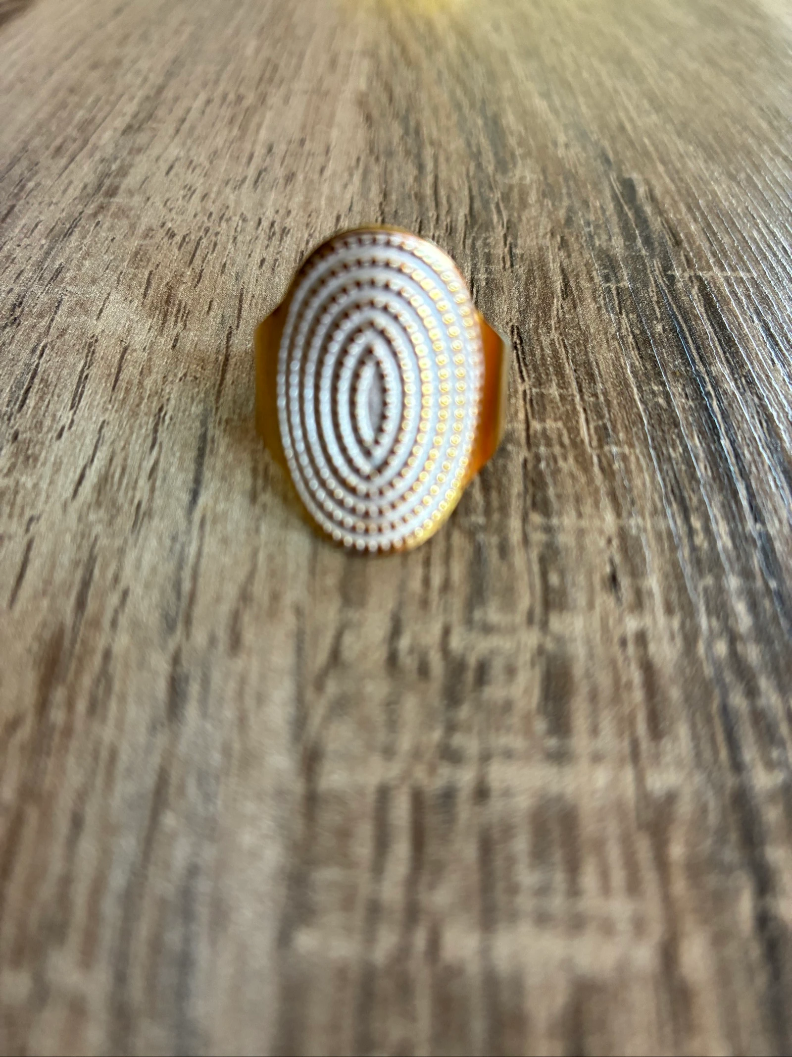 Bague en acier inoxydable, émaillée blanche